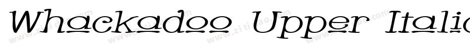 Whackadoo Upper Italic字体转换